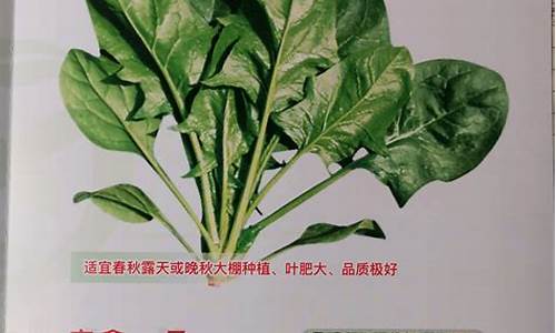 1. 菠菜LOL游戏