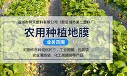 专业菠菜导航官方网站